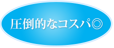 圧倒的なコスパ◎