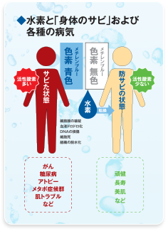 水素と「身体のサビ」および各種の病気